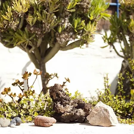 בית נופש Holidays In - Office With Sea View *