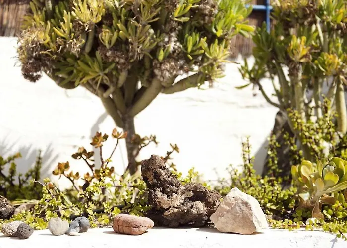 בית נופש Holidays In - Office With Sea View *